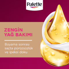 Palette Deluxe Saç Boyası 6-70 Kahve Bakır