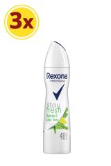 Stay Fresh Aloe Vera & Bamboo Kadın Sprey Deodorant 150 ml X 3