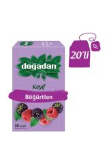 Böğürtlen Çayı 20 Adet X4 Adet