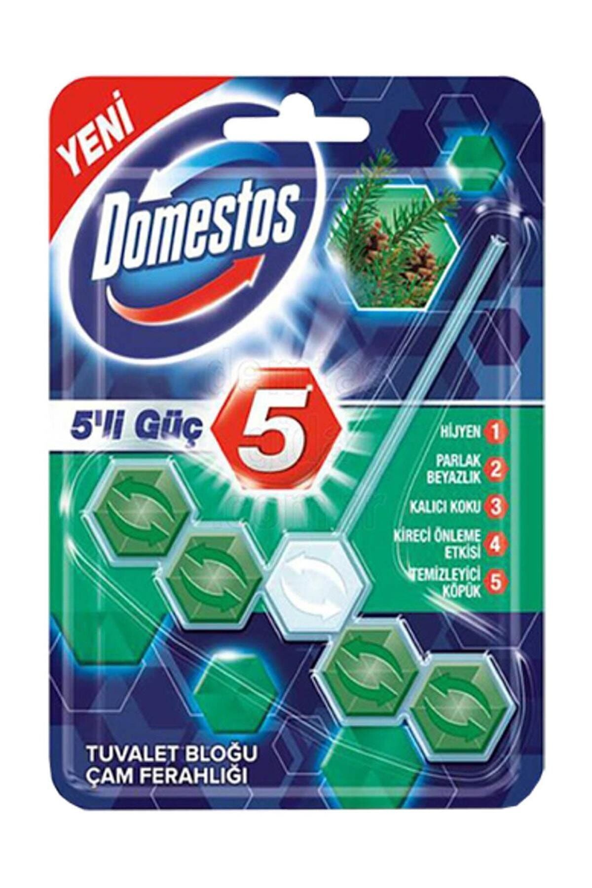 5'li Güç Çam Ferahlığı WC Blok 55 gr 1 Adet