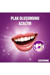 Listerine Total Care Diş Koruması Hafif Tat Ağız Bakım Suyu 250 ml